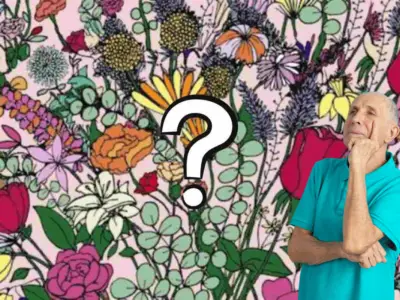 Test Visuel - œuf de poule et les fleurs